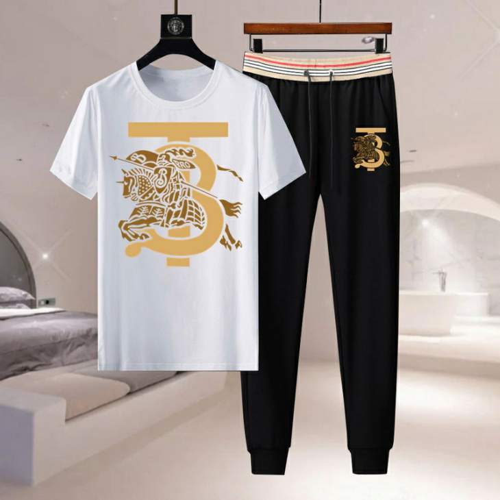 Picture of Burberry Shirt Pant Suits _SKUBurberryM-4XL11Lr0620474